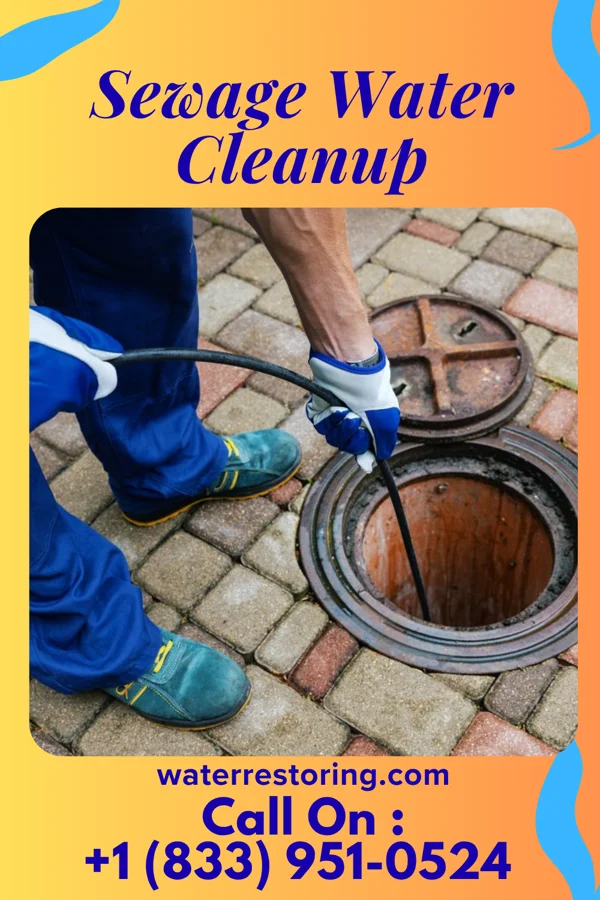Sewage Water Cleanup in Gilman City, MO