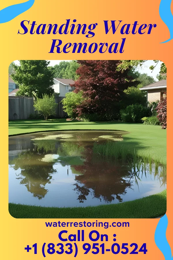 Standing Water Removal in Gilman City, MO